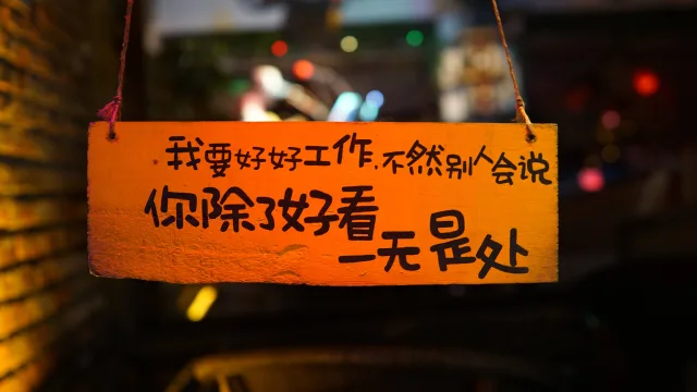 除了好看，一无是处